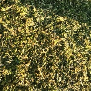 Meet your Posher, Delaney